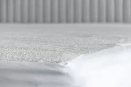 Mattress Protector